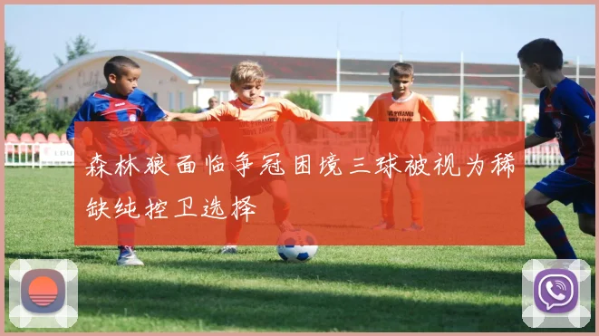 森林狼面临争冠困境三球被视为稀缺纯控卫选择